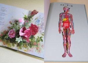 『花の神殿』と『世界で一番美しい切り絵人体図鑑』が入荷しました！
