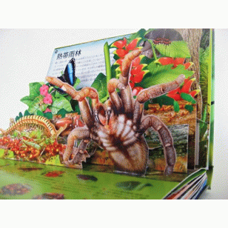 虫たち探検