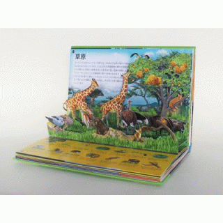 サファリ動物探検