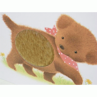 NEWぴよちゃんとあそぼ！ふわふわだあれ？