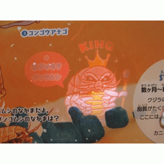 ブラックライトでさがせ！深海の不思議な生き物【ブラックライト別売】