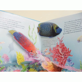 キラキラしかけえほん　海の生き物たち