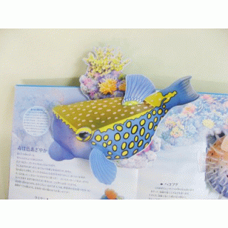 キラキラしかけえほん　海の生き物たち