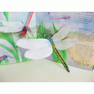 キラキラしかけえほん　昆虫たち