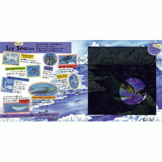 海の生き物を探せ！