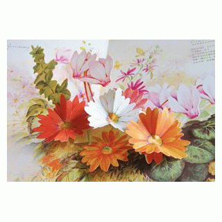 花の神殿