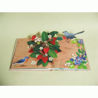 FLORA　春めく季節の花々