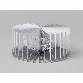 360°BOOK　雪降る森　Snowy World