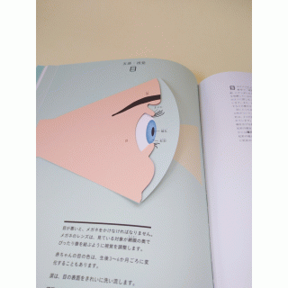 世界で一番美しい切り絵人体図鑑