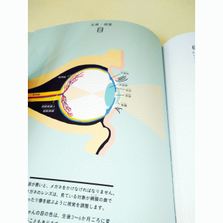 世界で一番美しい切り絵人体図鑑